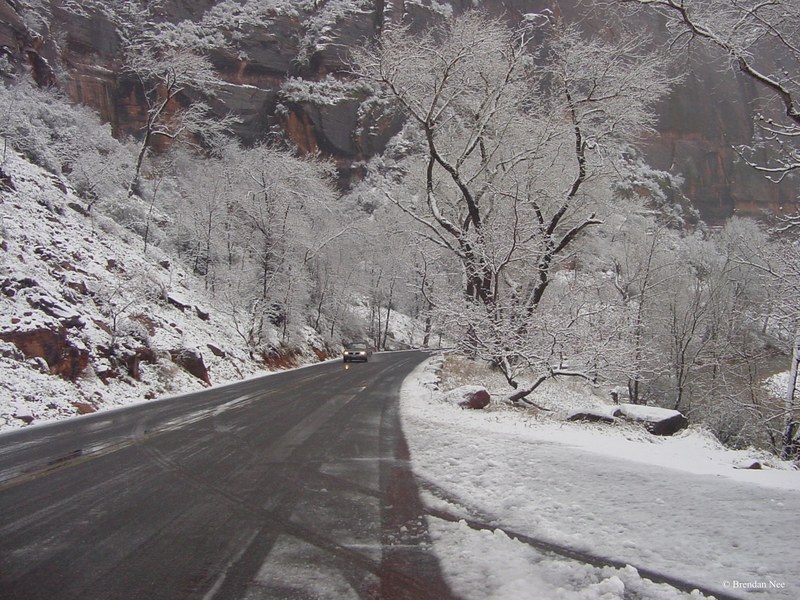 Zion National Park - Zion National Park 1-05 505